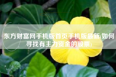 东方财富网手机版首页手机版最新(如何寻找有主力资金的股票)