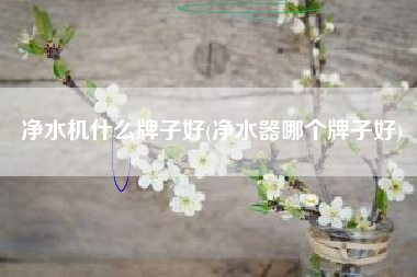 净水机什么牌子好(净水器哪个牌子好)
