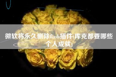 微软将永久删除flash插件(库克都要哪些个人成就)