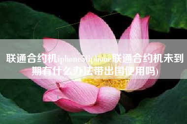 联通合约机iphone5(iphone联通合约机未到期有什么办法带出国使用吗)