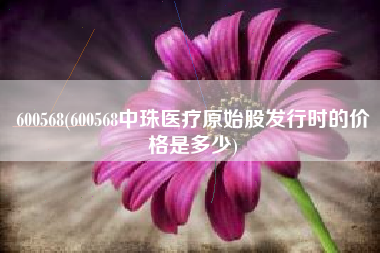 600568(600568中珠医疗原始股发行时的价格是多少)