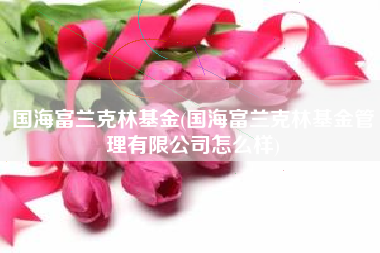 国海富兰克林基金(国海富兰克林基金管理有限公司怎么样)
