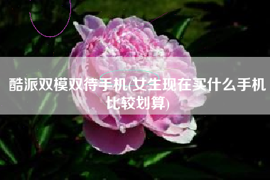 酷派双模双待手机(女生现在买什么手机比较划算)