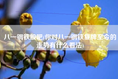 详细阅读:八一钢铁股吧(你对八一钢铁复牌至今的走势有什么看法) 八一钢铁股吧(你对八一钢铁复牌至今的走势有什么看法)