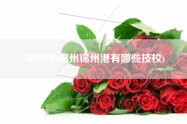 详细阅读:锦州港(锦州锦州港有哪些技校) 锦州港(锦州锦州港有哪些技校)
