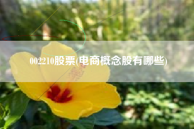 002210股票(电商概念股有哪些)