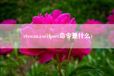 rtvscan.exe(fport命令是什么)