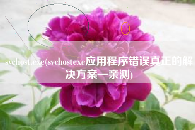 svchost.exe(svchostexe应用程序错误真正的解决方案—亲测)