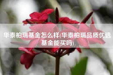 华泰柏瑞基金怎么样(华泰柏瑞品质优选基金能买吗)