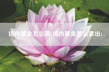 场内基金怎么买(场内基金怎么卖出)