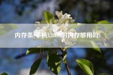 内存条(手机128GB的内存够用吗)