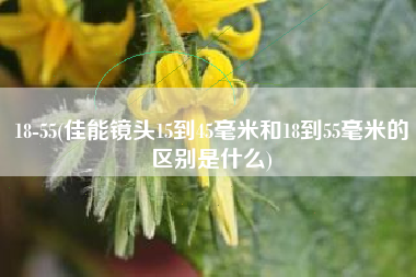 18-55(佳能镜头15到45毫米和18到55毫米的区别是什么)
