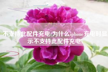不支持此配件充电(为什么iphone充电时显示不支持此配件充电)