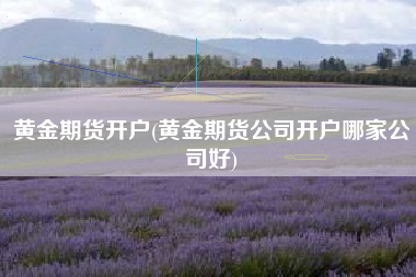 黄金期货开户(黄金期货公司开户哪家公司好)