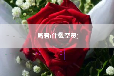 鹰君(什么空灵)