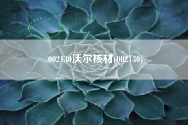 002130沃尔核材(002130)