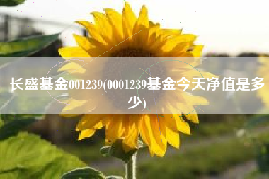 长盛基金001239(0001239基金今天净值是多少)