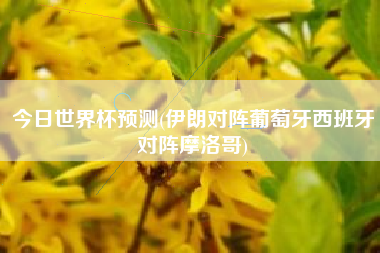 今日世界杯预测(伊朗对阵葡萄牙西班牙对阵摩洛哥)