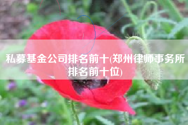 私募基金公司排名前十(郑州律师事务所排名前十位)