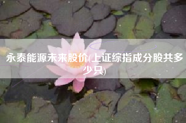 永泰能源未来股价(上证综指成分股共多少只)