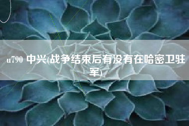 u790 中兴(战争结束后有没有在哈密卫驻军)