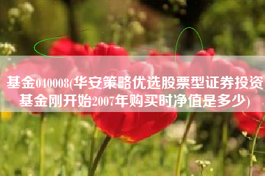 基金040008(华安策略优选股票型证券投资基金刚开始2007年购买时净值是多少)