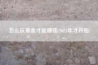 怎么玩基金才能赚钱(2021年才开始)