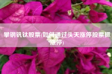 攀钢钒钛股票(如何通过头天涨停股票抓涨停)