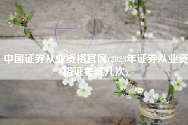 中国证券从业资格官网(2023年证券从业资格证考试几次)