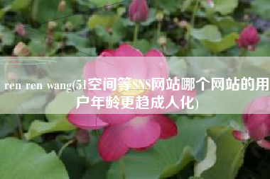 ren ren wang(51空间等SNS网站哪个网站的用户年龄更趋成人化)