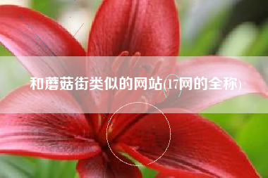 和蘑菇街类似的网站(17网的全称)