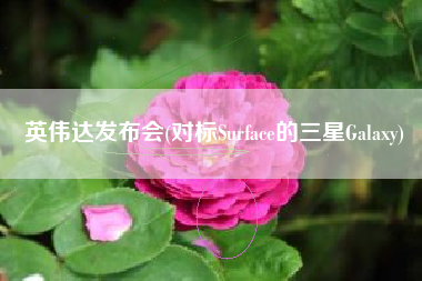 英伟达发布会(对标Surface的三星Galaxy)