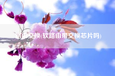 路由交换(软路由带交换芯片吗)