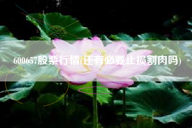 600657股票行情(还有必要止损割肉吗)