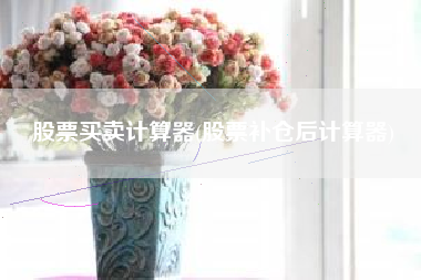 股票买卖计算器(股票补仓后计算器)