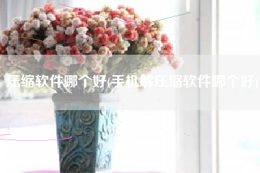 压缩软件哪个好(手机解压缩软件哪个好)