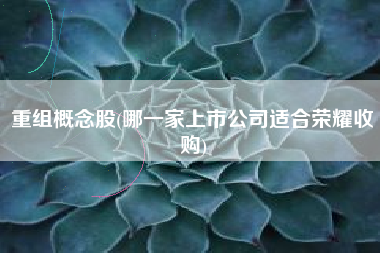 重组概念股(哪一家上市公司适合荣耀收购)