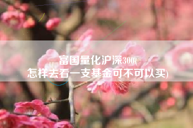 富国量化沪深300(
怎样去看一支基金可不可以买) 富国量化沪深300(
怎样去看一支基金可不可以买)