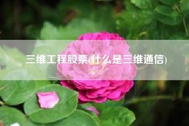 三维工程股票(什么是三维通信)