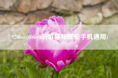 920hot(vivoy3的屏幕和哪些手机通用)