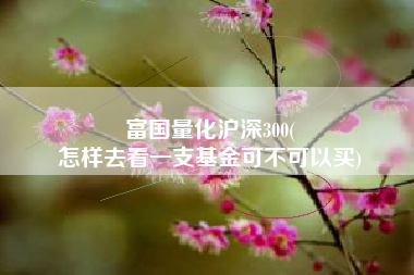富国量化沪深300(
怎样去看一支基金可不可以买) 富国量化沪深300(
怎样去看一支基金可不可以买)