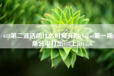 618第二波活动什么时候开始(Yagao第一视角公平打出618上JD)
