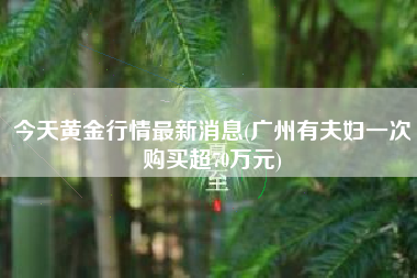 今天黄金行情最新消息(广州有夫妇一次购买超70万元)