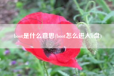 boot是什么意思(boot怎么进入u盘)
