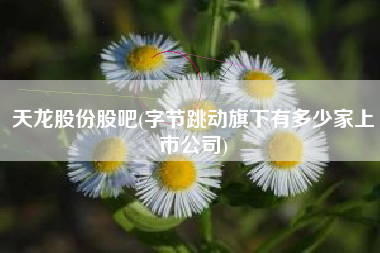 天龙股份股吧(字节跳动旗下有多少家上市公司)