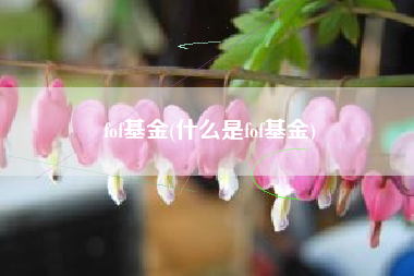 fof基金(什么是fof基金)