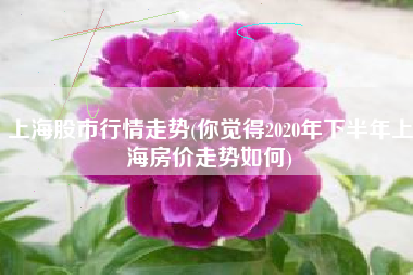 上海股市行情走势(你觉得2020年下半年上海房价走势如何)