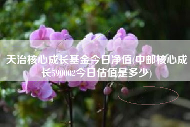 天治核心成长基金今日净值(中邮核心成长590002今日估值是多少)