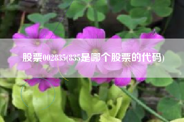 股票002835(835是哪个股票的代码)
