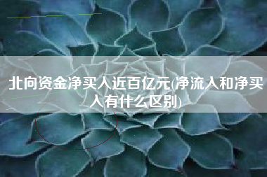 北向资金净买入近百亿元(净流入和净买入有什么区别)